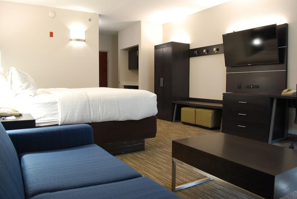 Holiday Inn Express Hotel & Suites Kingsport-Meadowview I-26 By Ihg Экстерьер фото